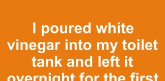 I poured white vinegar into my toilet tank and left it overnight for the first time in 15 years. This is what happened
