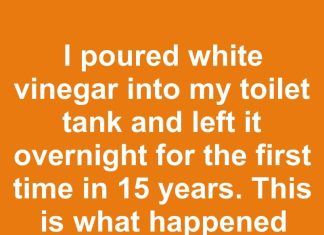 I poured white vinegar into my toilet tank and left it overnight for the first time in 15 years. This is what happened