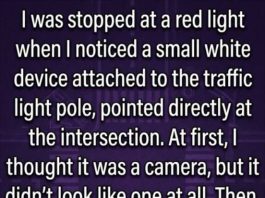 What’s the Purpose of That Little White Device on the Traffic Light Pole?
