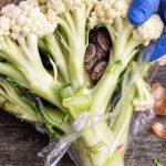 He Opened a Bag of Broccoli – What He Found Inside Left Him Horrified