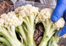 He Opened a Bag of Broccoli – What He Found Inside Left Him Horrified