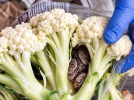 He Opened a Bag of Broccoli – What He Found Inside Left Him Horrified