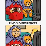 Grumpy Grandma and Her Matching Cat