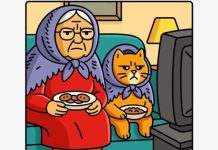 Grumpy Grandma and Her Matching Cat