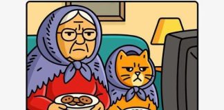 Grumpy Grandma and Her Matching Cat