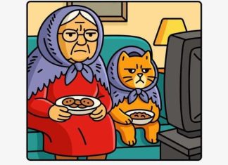 Grumpy Grandma and Her Matching Cat