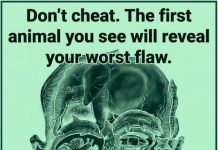 The first animal you spot in this visual reveals your ‘worst flaw’
