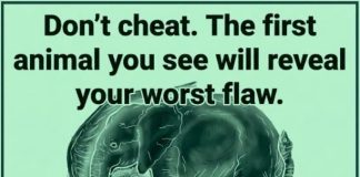 The first animal you spot in this visual reveals your ‘worst flaw’