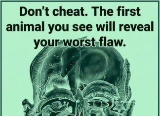 The first animal you spot in this visual reveals your ‘worst flaw’